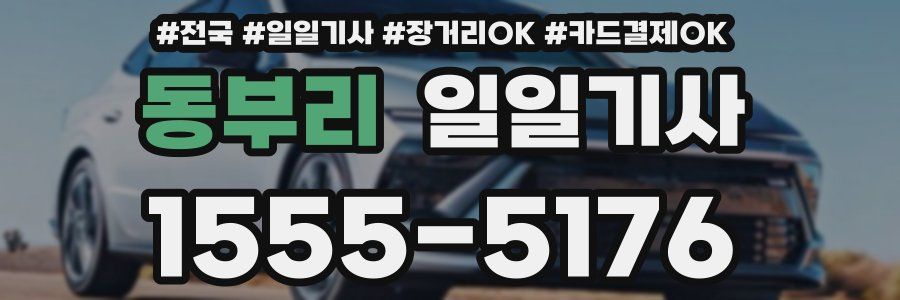 동부리 일일기사