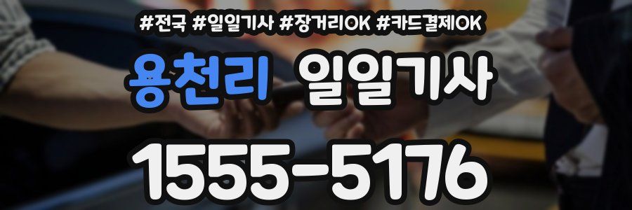 용천리 일일기사