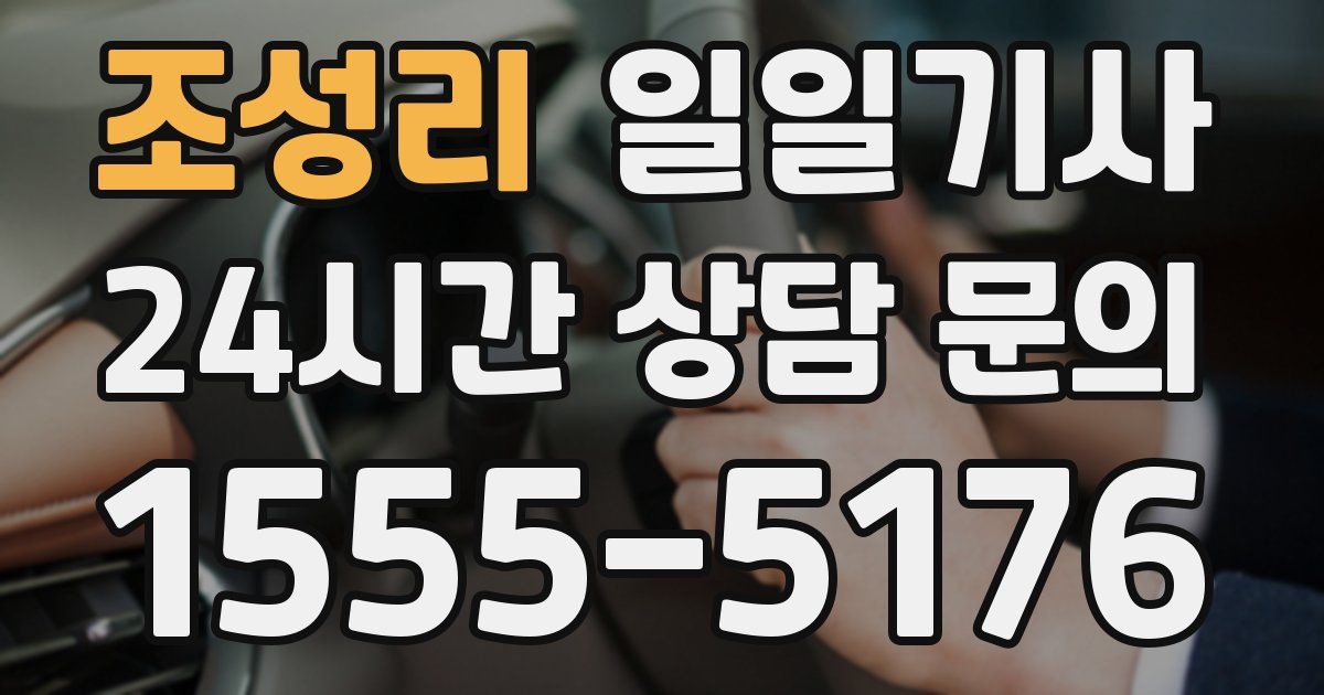일일대리기사