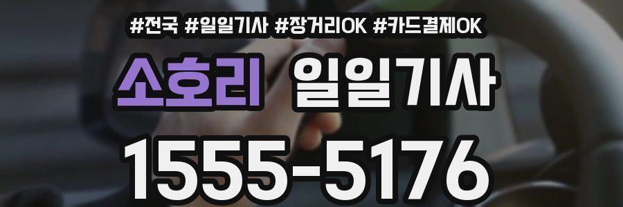 소호리 일일기사