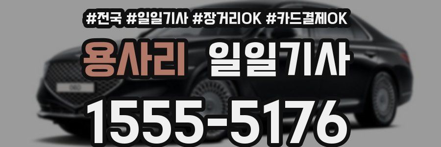 용사리 일일기사