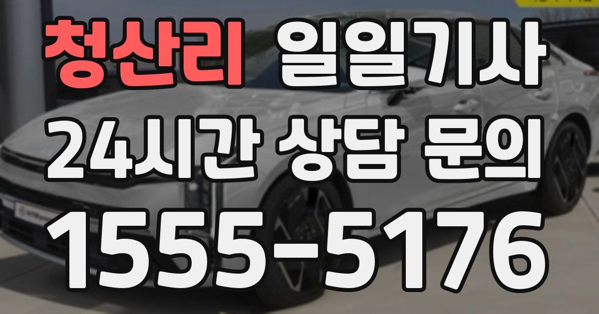 일일대리기사