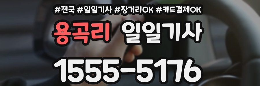 용곡리 일일기사