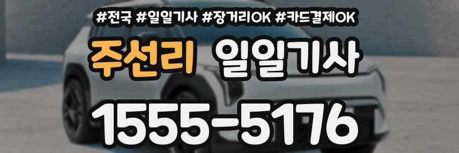 주선리 일일기사