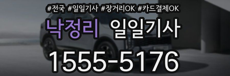 낙정리 일일기사