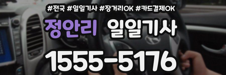 정안리 일일기사