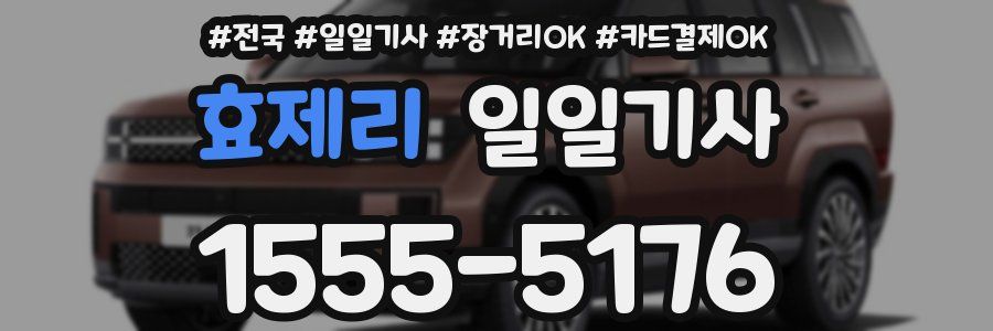 효제리 일일기사