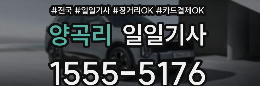 양곡리 일일기사