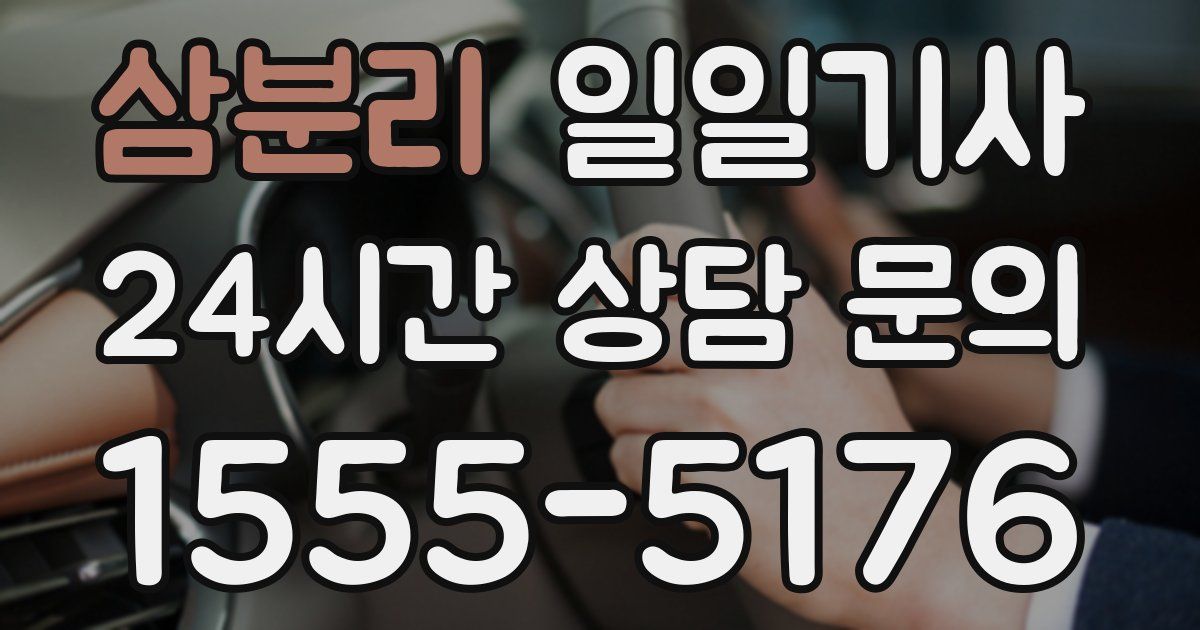 일일대리기사