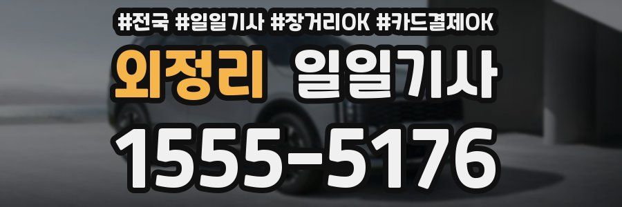 외정리 일일기사