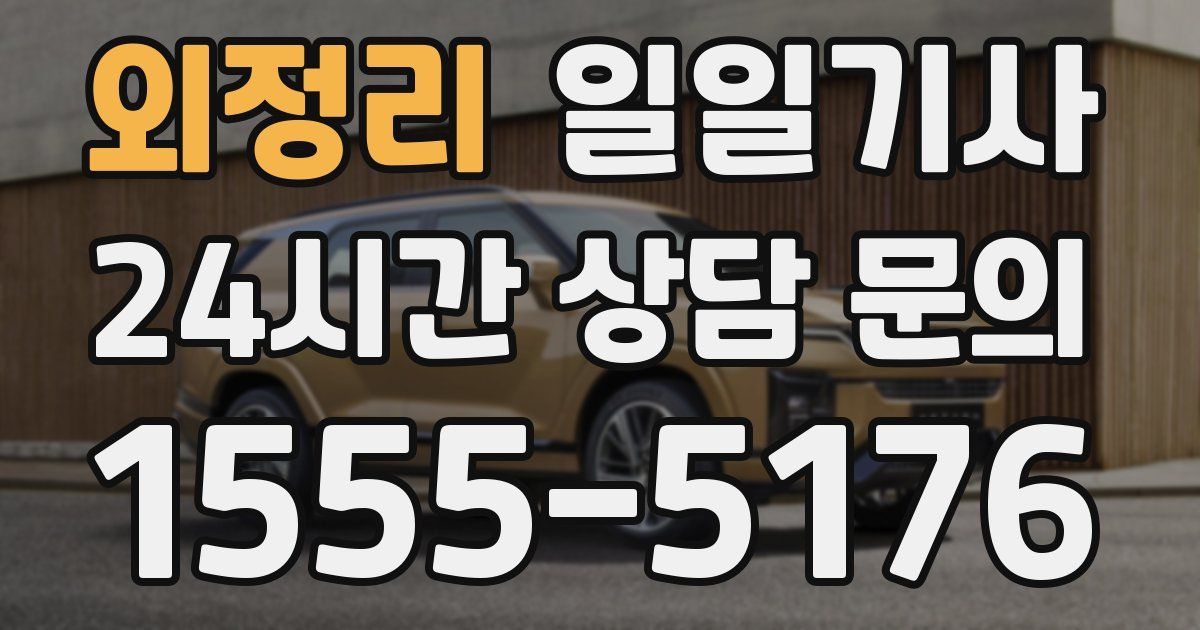 일일대리기사