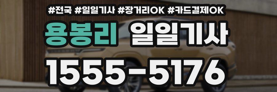 용봉리 일일기사