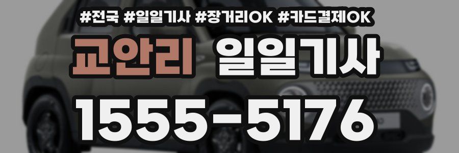 교안리 일일기사