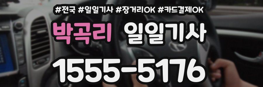 박곡리 일일기사