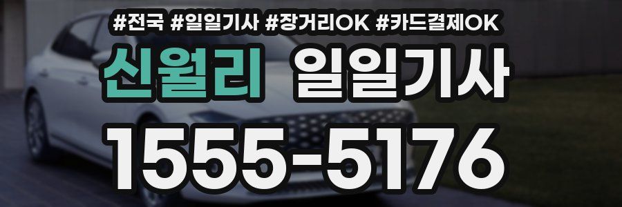 신월리 일일기사