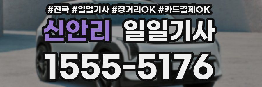 신안리 일일기사