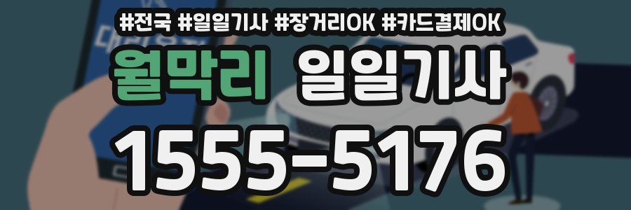 월막리 일일기사