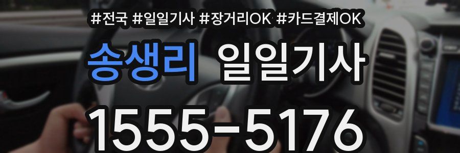 송생리 일일기사