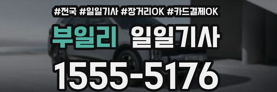 부일리 일일기사