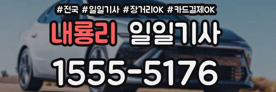 내룡리 일일기사