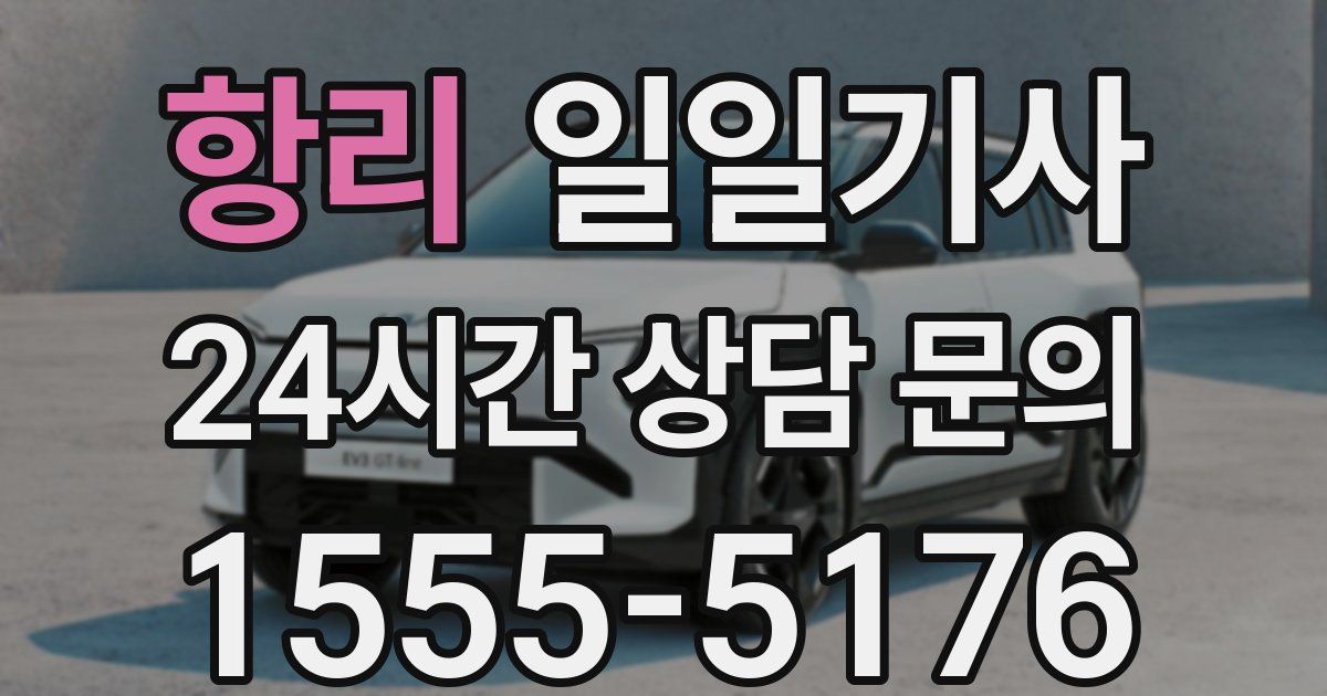 일일대리기사