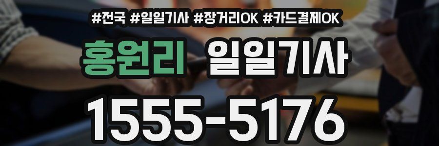 홍원리 일일기사