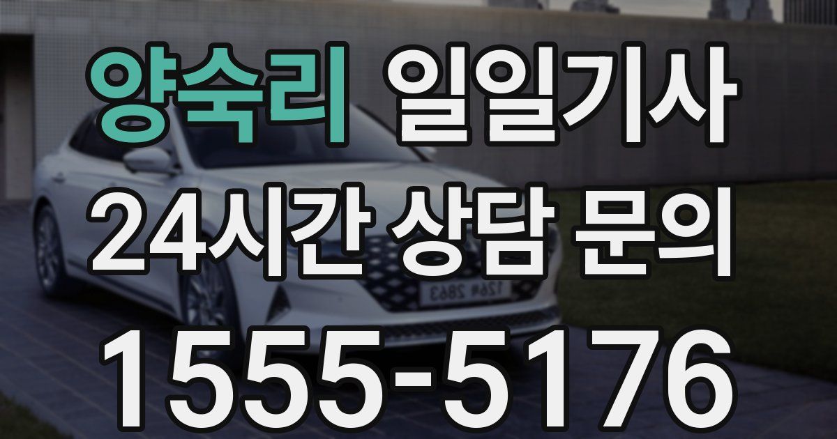 일일대리기사