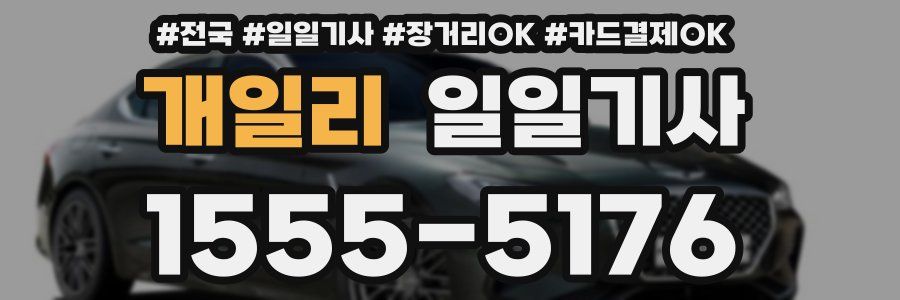 개일리 일일기사