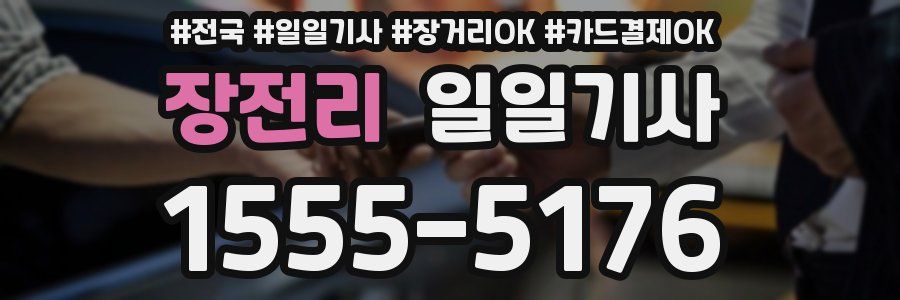 장전리 일일기사