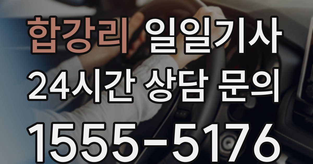 일일대리기사