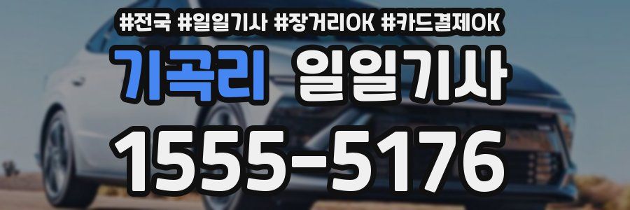 기곡리 일일기사