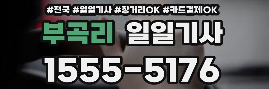 부곡리 일일기사