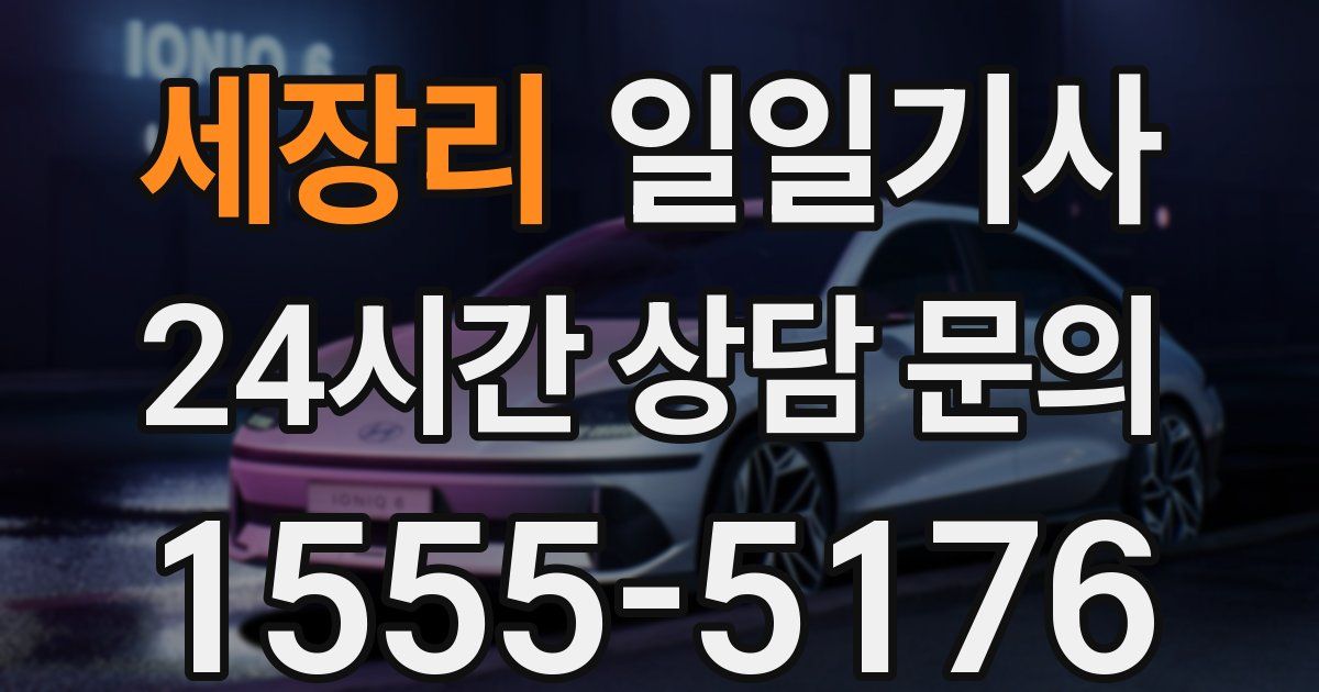 일일대리기사