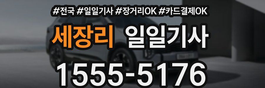 세장리 일일기사