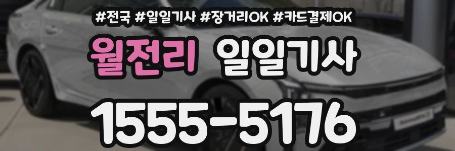 월전리 일일기사