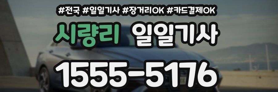 시량리 일일기사