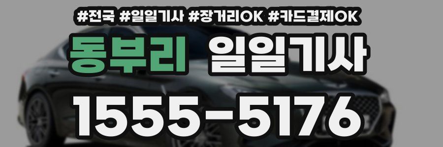 동부리 일일기사