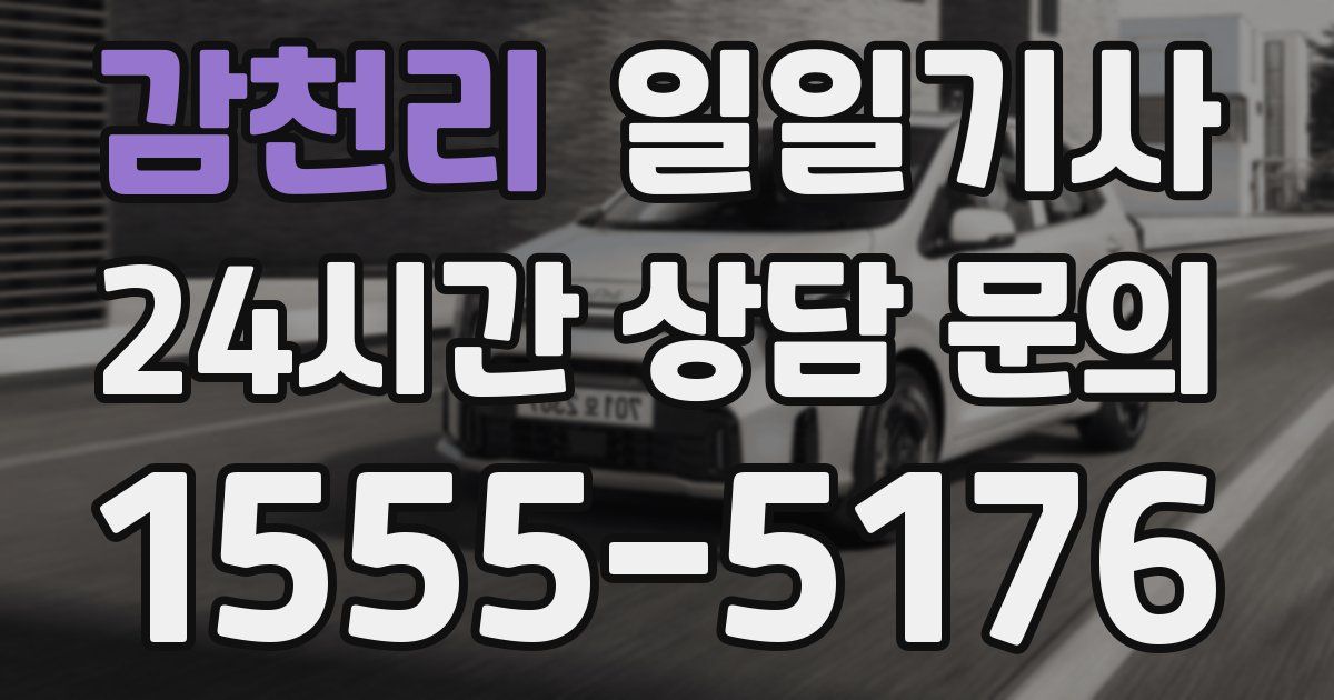 일일대리기사