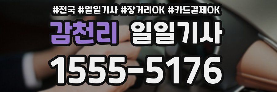 감천리 일일기사