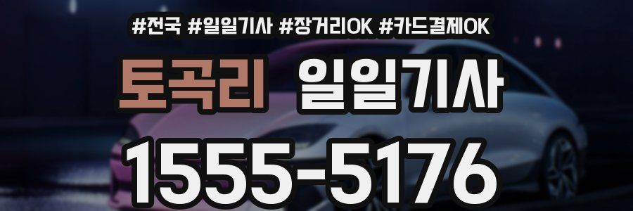 토곡리 일일기사