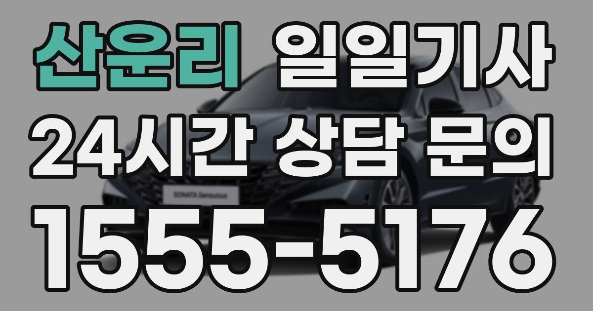 일일대리기사