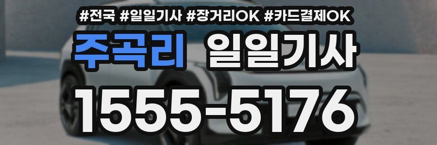 주곡리 일일기사