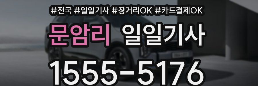 문암리 일일기사