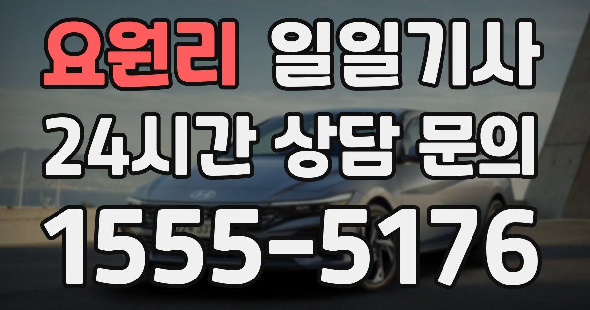 일일대리기사