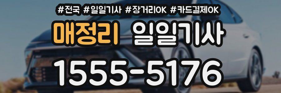 매정리 일일기사