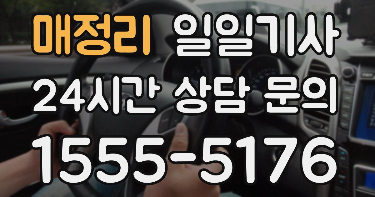 일일대리기사