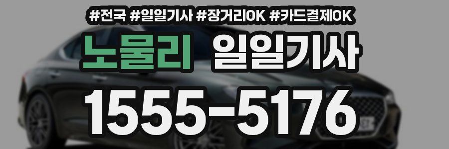 노물리 일일기사