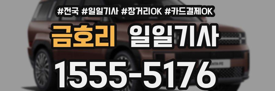 금호리 일일기사