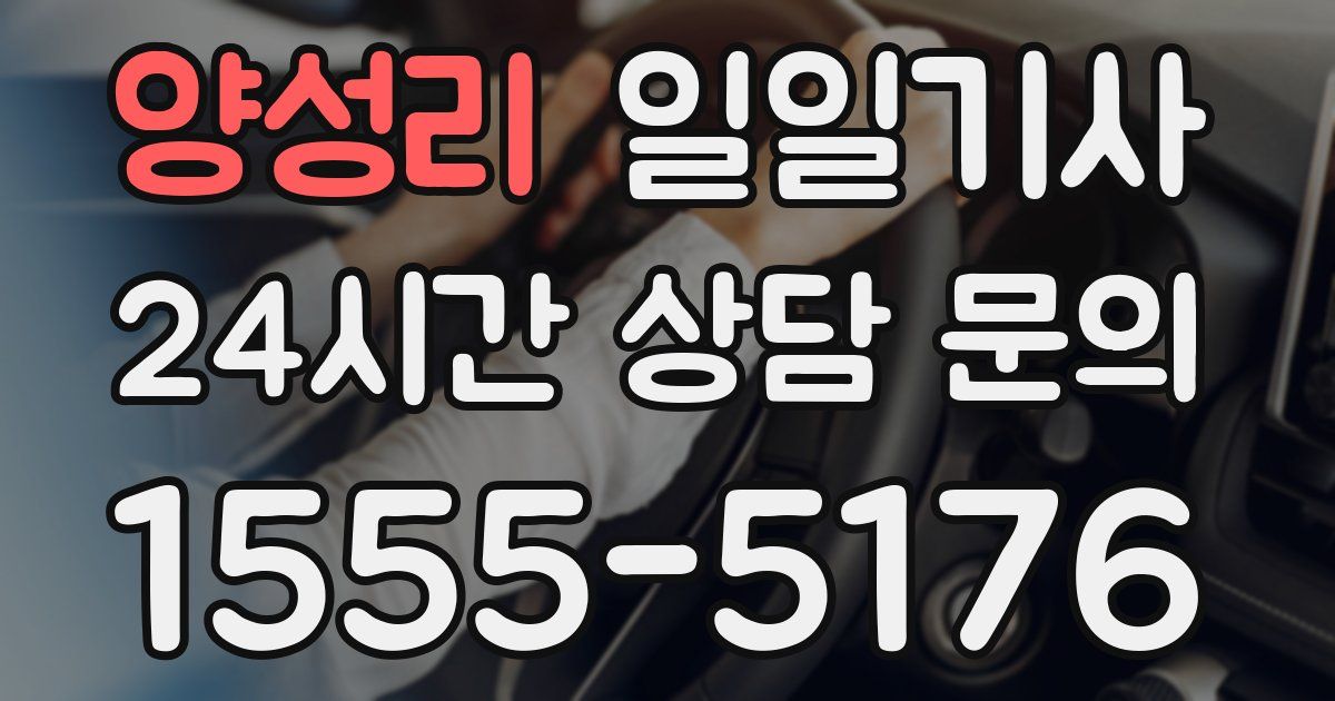 일일대리기사