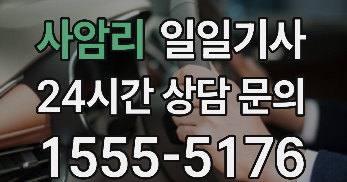 일일대리기사